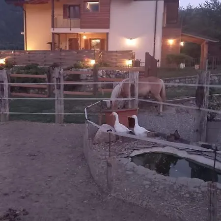 Azienda Agricola I Sei Petali *