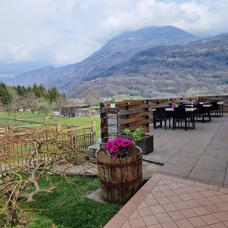 Azienda Agricola I Sei Petali *