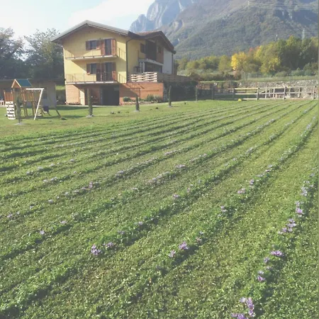Azienda Agricola I Sei Petali Farm stay *
